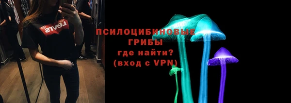 крисы Балахна