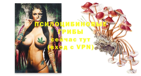 таблы Белокуриха