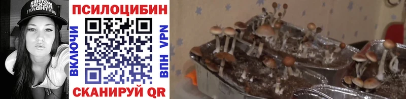 Галлюциногенные грибы мухоморы  Купить  Валдай 